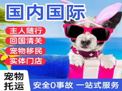 丽江三义航空快运国际宠物托运 【国